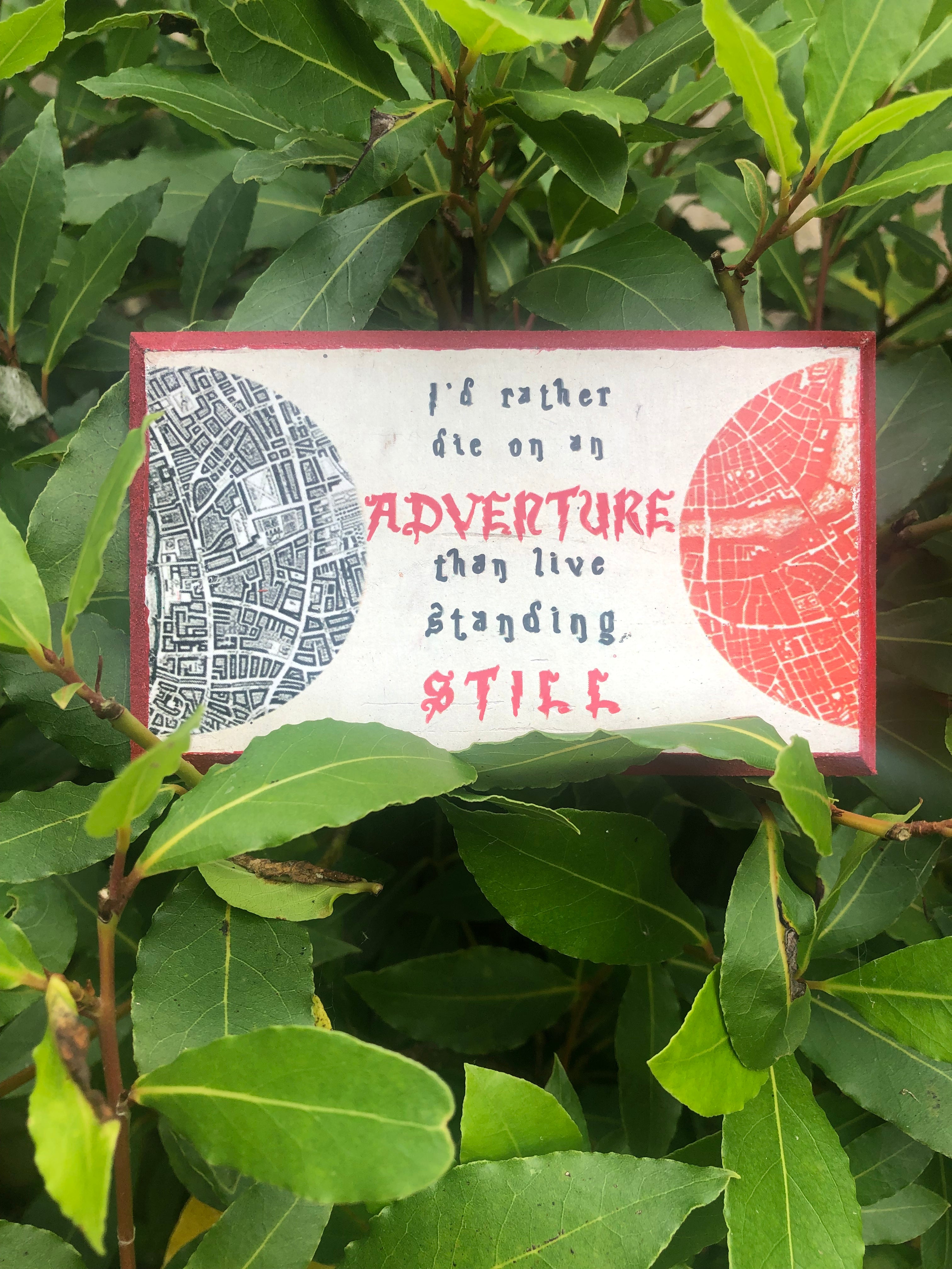 “I’d Rather Die on an Adventure Than Live Standing Still” – A Darker Shade of Magic Hand Painted Plaque 5x3”