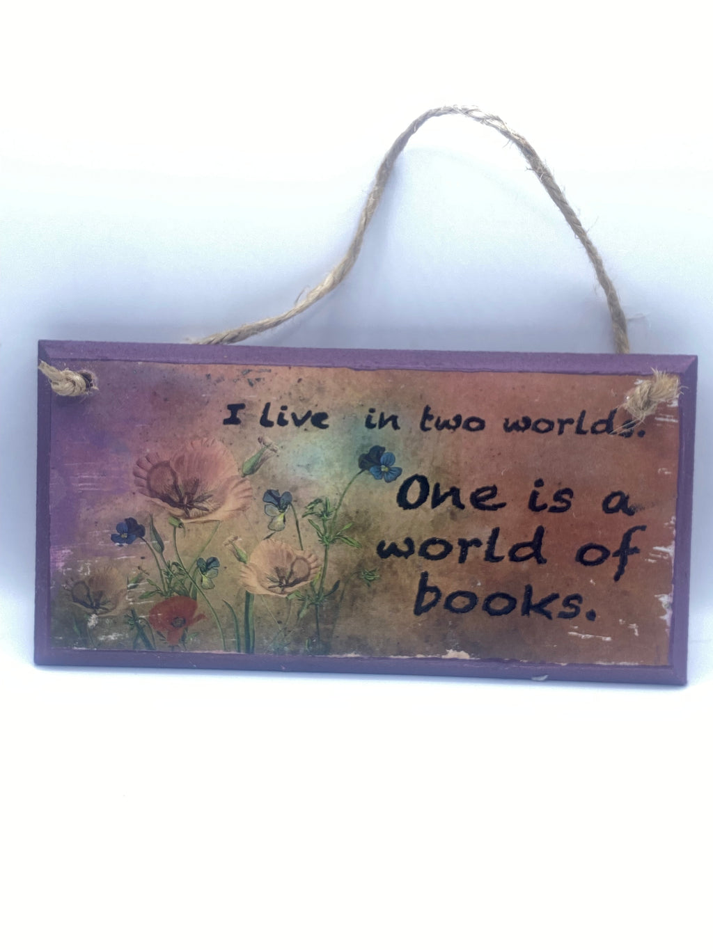 Hand‑Painted Wooden Plaque – “I live in two worlds, one is a world of books” ~ Gilmore Girls inspired Bookish Quote (6x3", 7x4”, 8x4”)