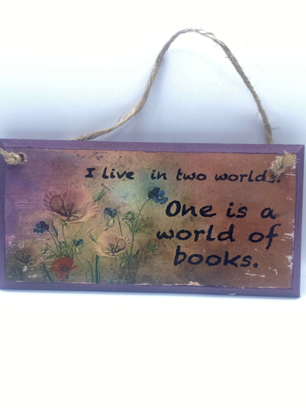 Hand‑Painted Wooden Plaque – “I live in two worlds, one is a world of books” ~ Gilmore Girls inspired Bookish Quote (6x3", 7x4”, 8x4”)