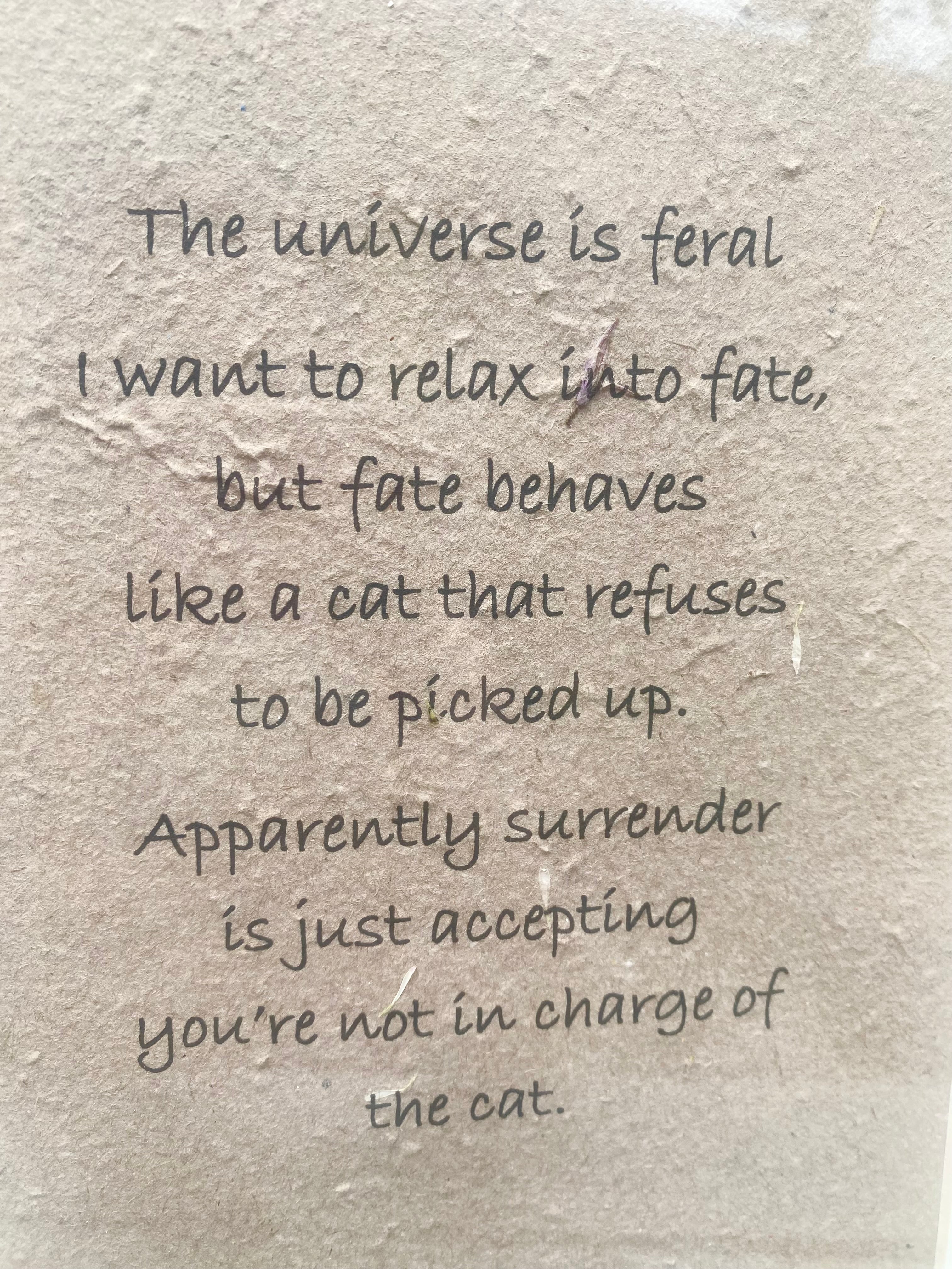 The universe is feral ~ Poetry by Jodi Symmonds, Rewild the Self ~ Framed | Unframed ~ Handmade Print