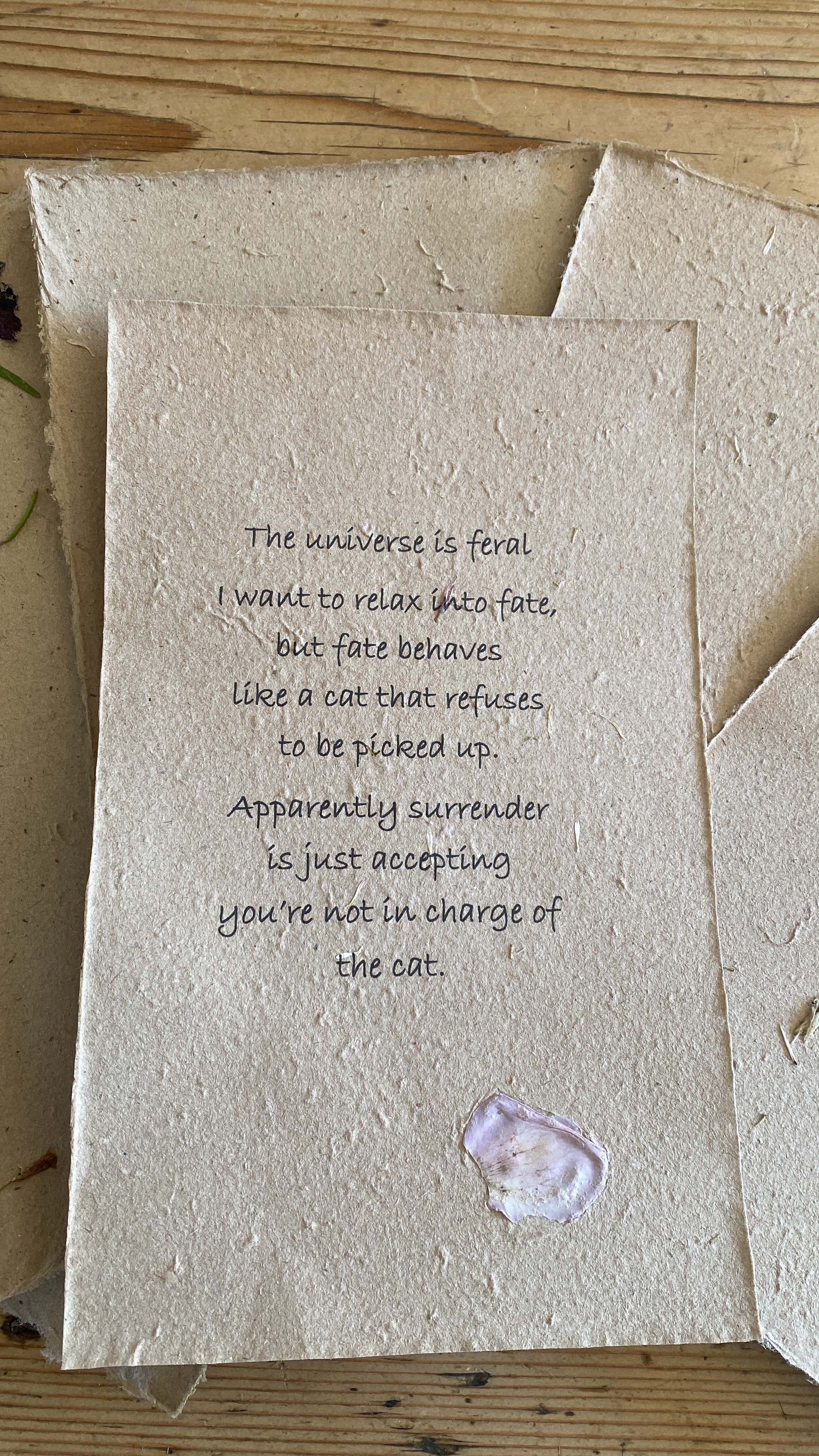 The universe is feral ~ Poetry by Jodi Symmonds, Rewild the Self ~ Framed | Unframed ~ Handmade Print