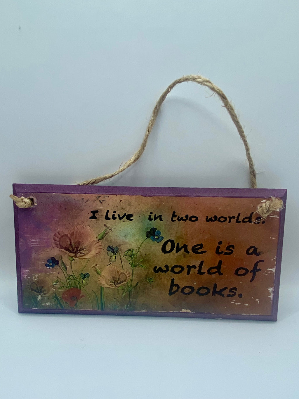 Hand‑Painted Wooden Plaque – “I live in two worlds, one is a world of books” ~ Gilmore Girls inspired Bookish Quote (6x3", 7x4”, 8x4”)