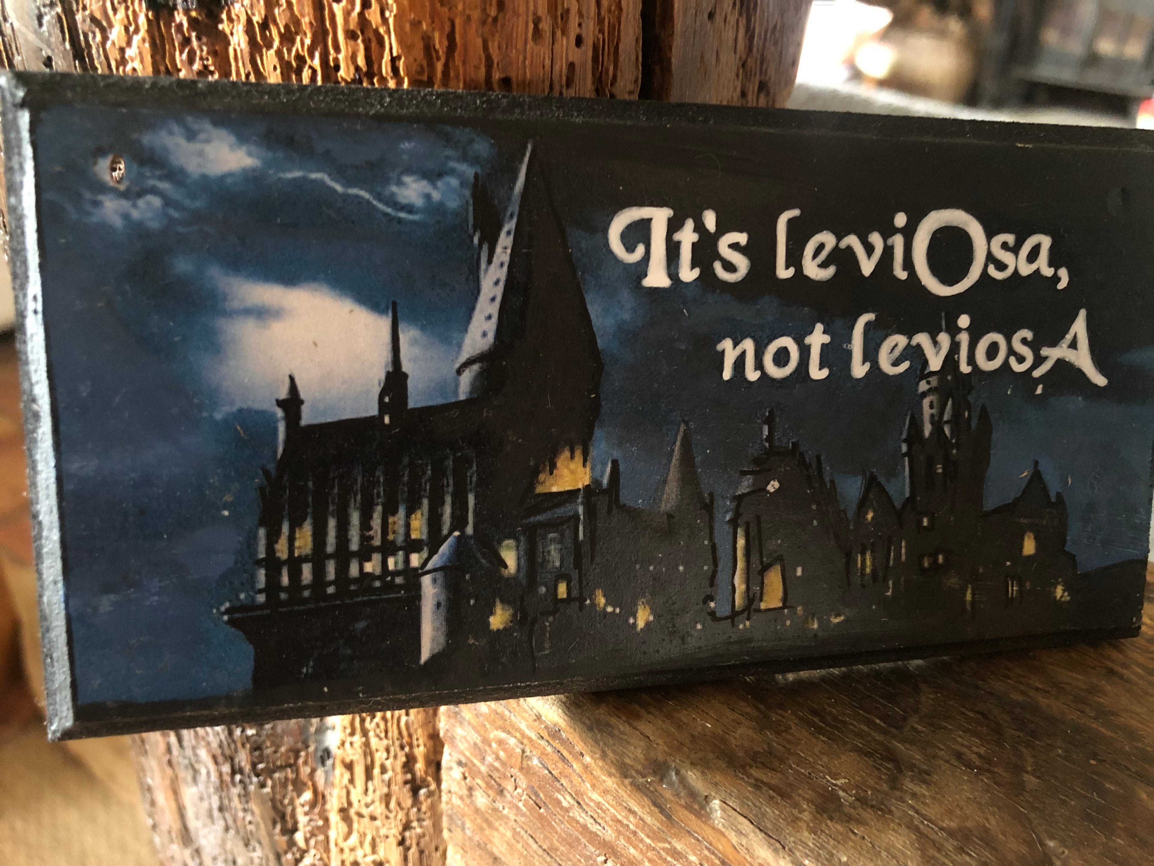 Hand‑Painted Harry Potter Plaque – “It’s LeviOsa, Not LeviosA”