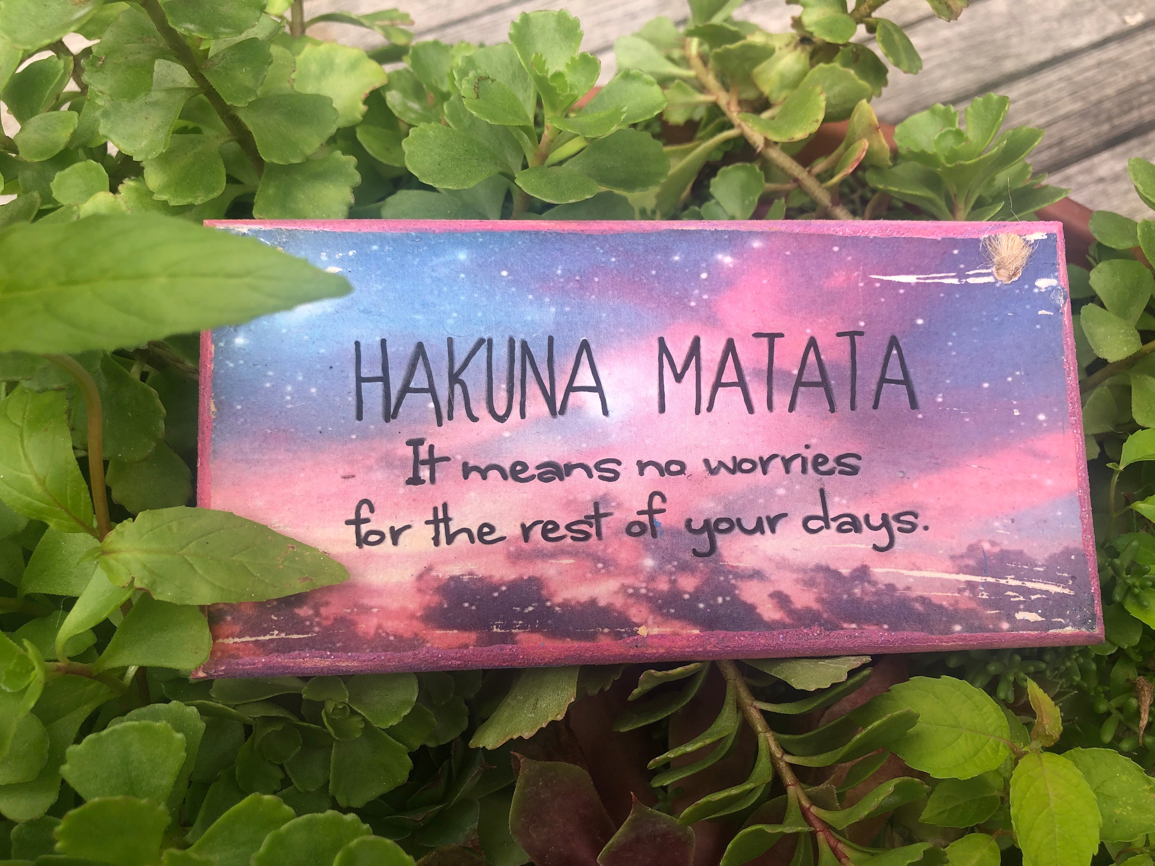 “Hakuna Matata” Disney -Lion King-Inspired Hand Painted Plaque