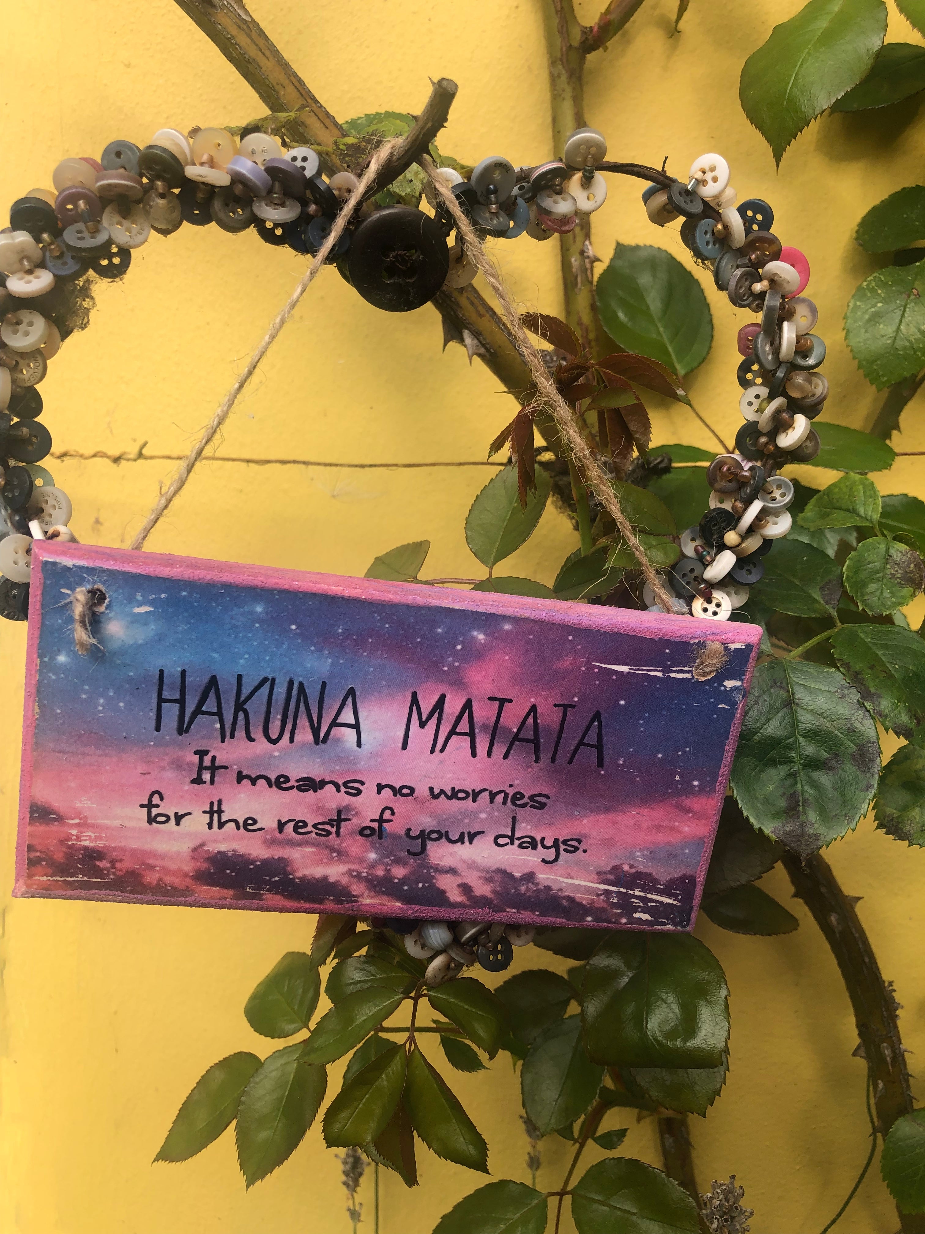 “Hakuna Matata” Disney -Lion King-Inspired Hand Painted Plaque