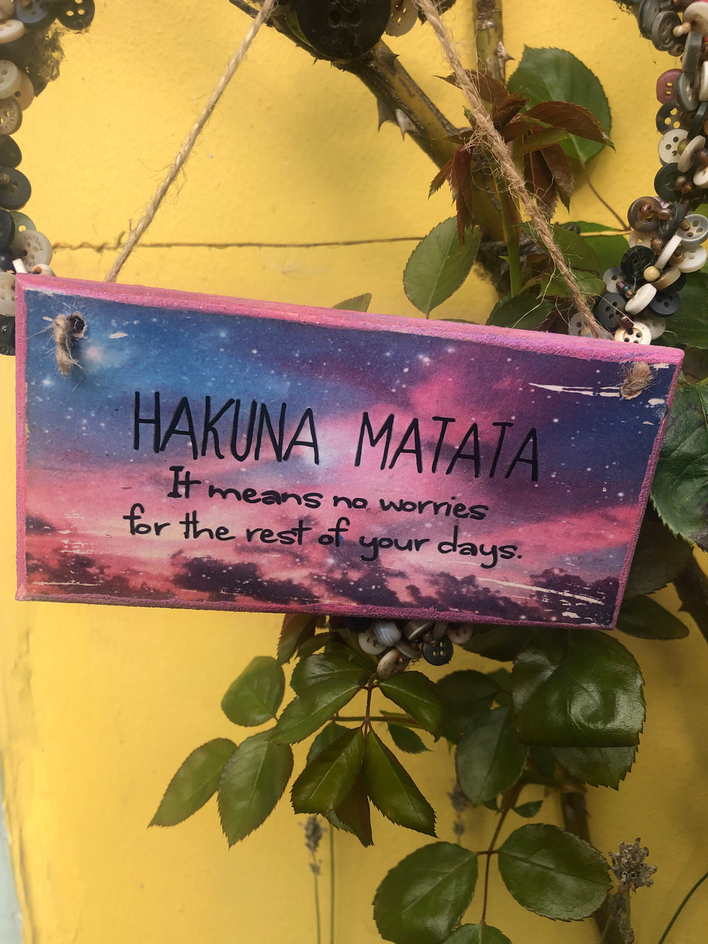 “Hakuna Matata” Disney -Lion King-Inspired Hand Painted Plaque