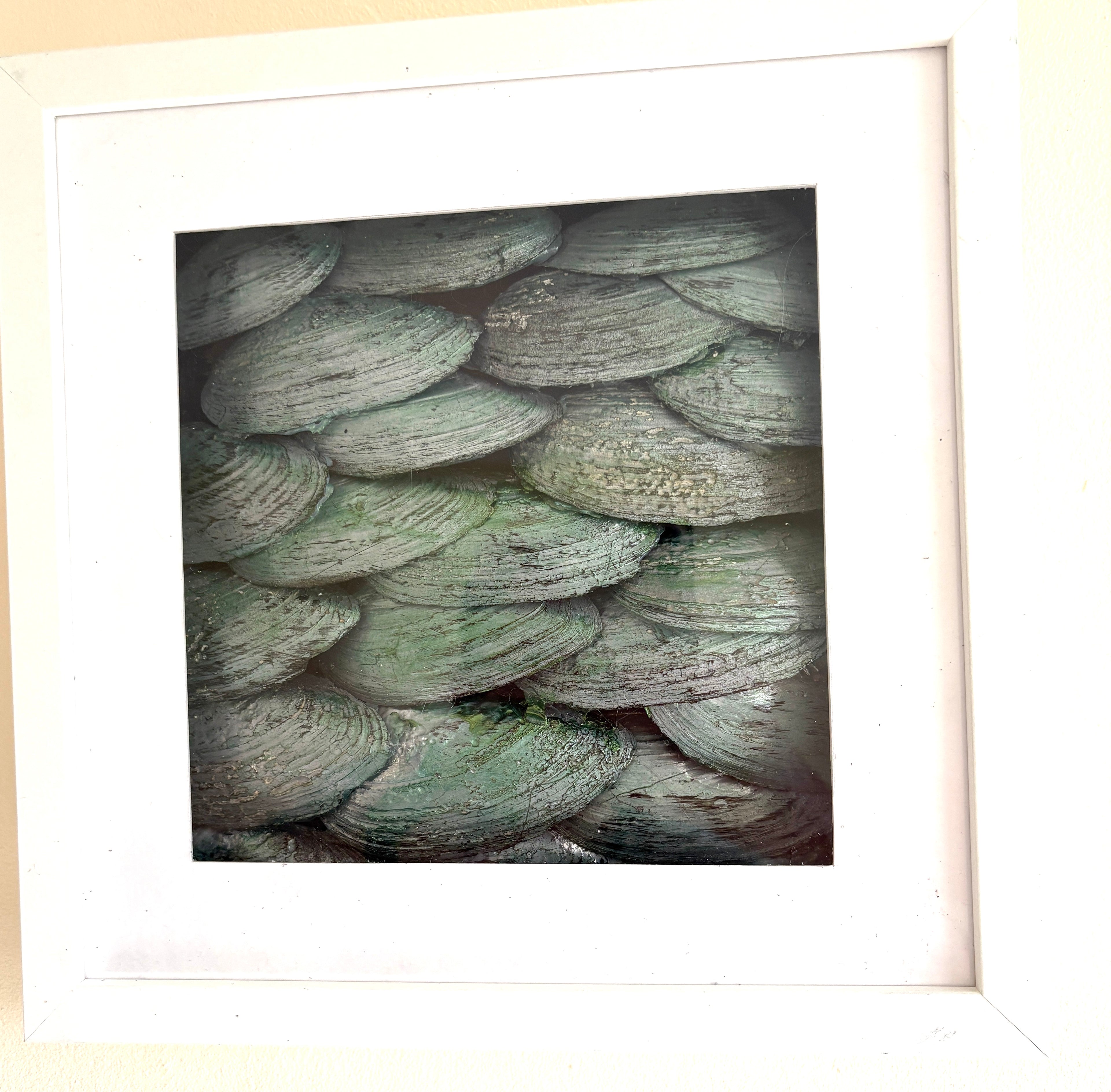 Dragon's Scales - Green - shadow box Art 27 x 27cm