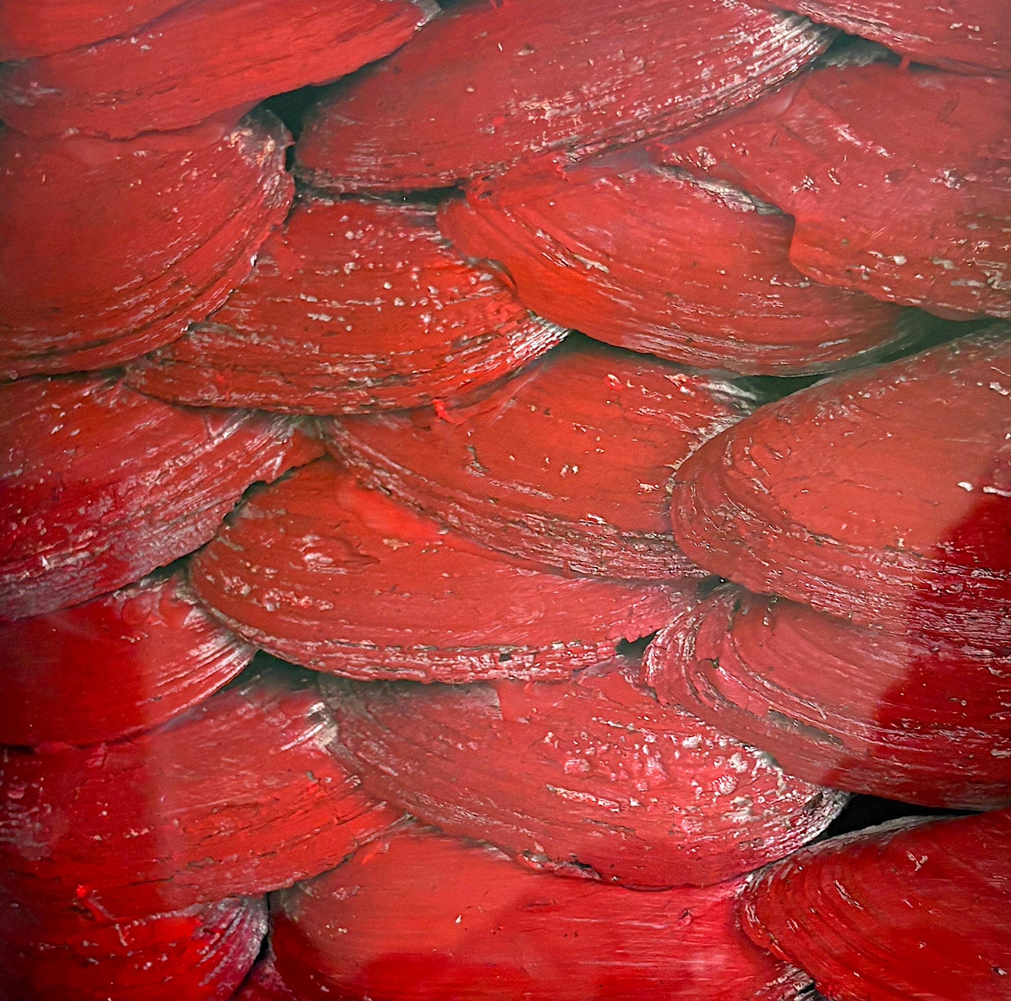 Dragon's Scales - Red (Welsh?)- shadow box Art 27 x 27cm