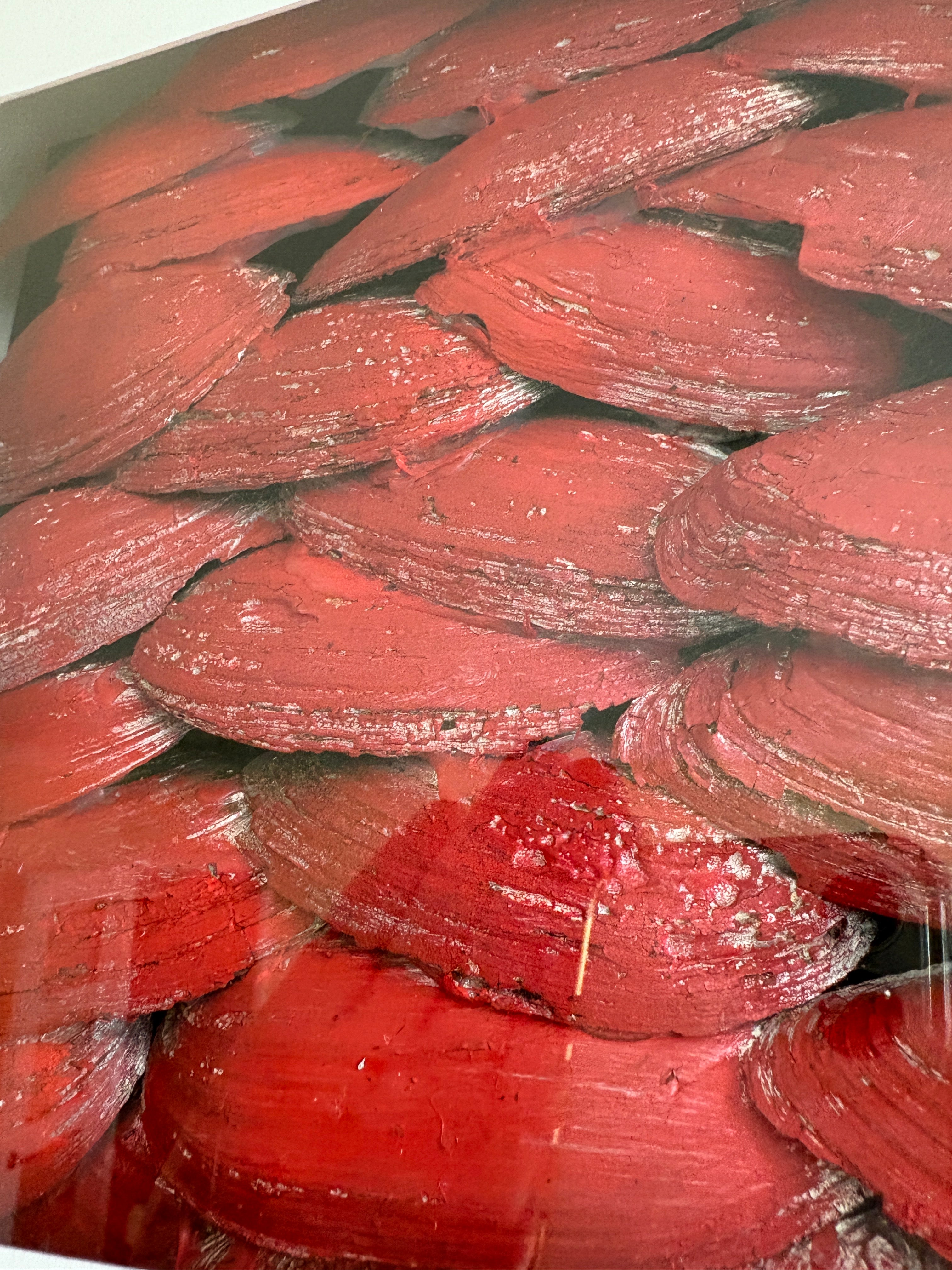 Dragon's Scales - Red (Welsh?)- shadow box Art 27 x 27cm