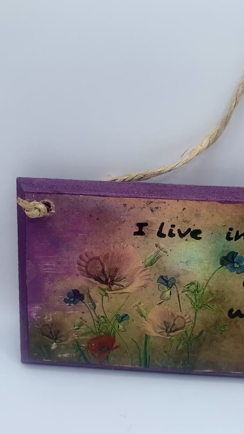 Hand‑Painted Wooden Plaque – “I live in two worlds, one is a world of books” ~ Gilmore Girls inspired Bookish Quote (6x3", 7x4”, 8x4”)